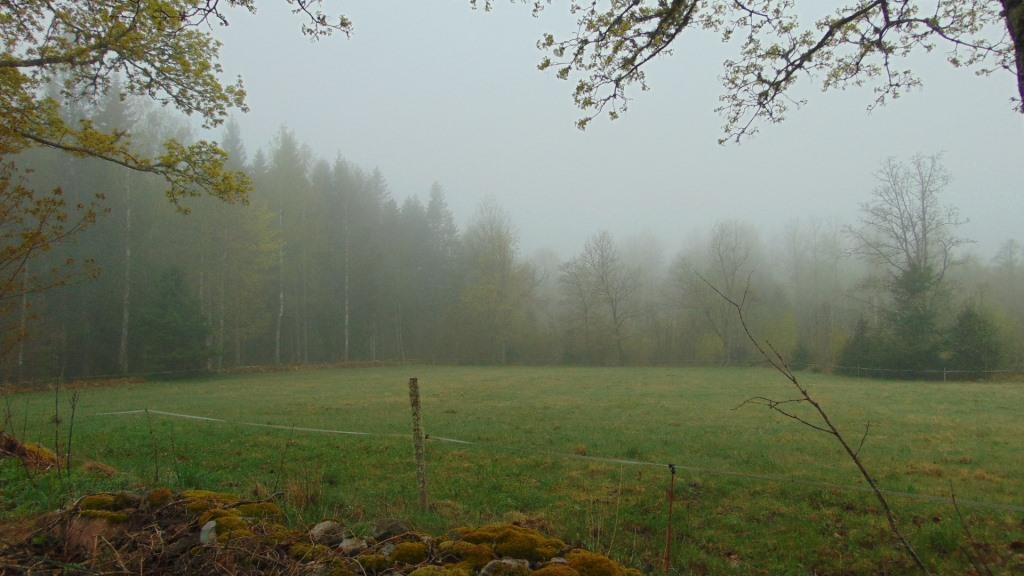spring.2024