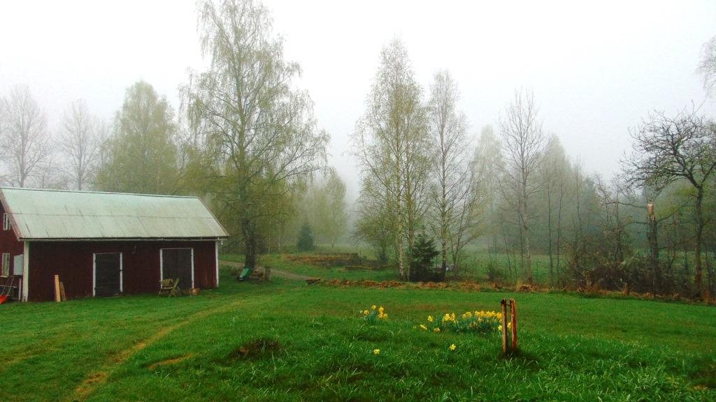 spring.2024