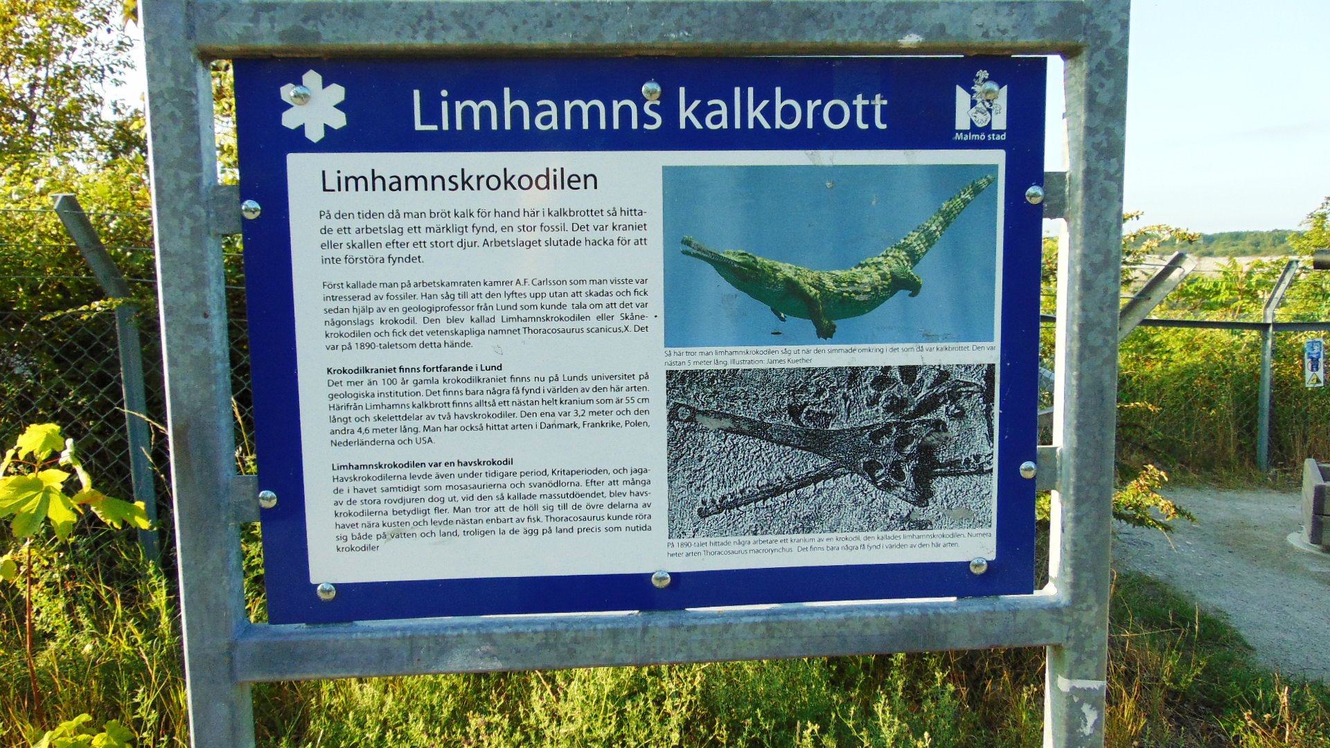 kalkbrottet.info