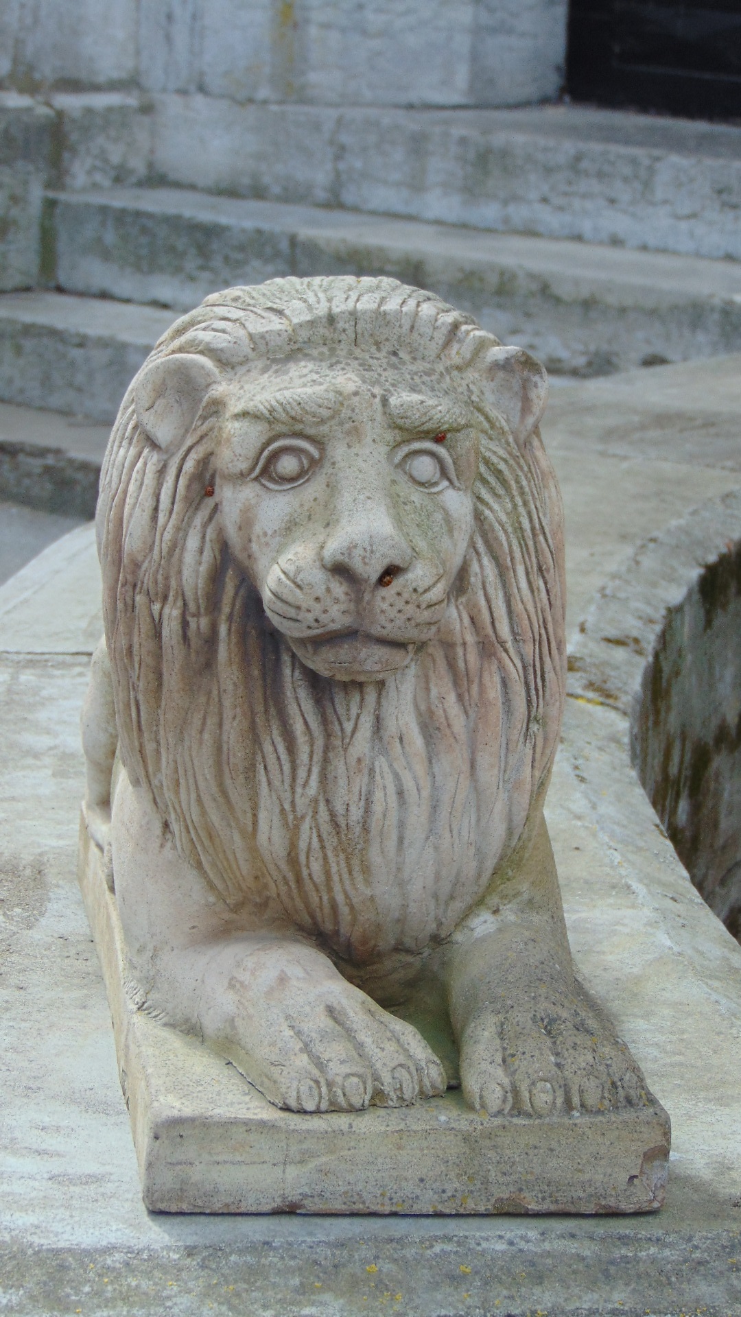 lejon